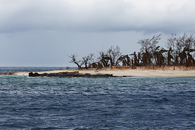 Cyclone Winston : Fiji : 2016 : News : Photos : Richard Moore : Photographer